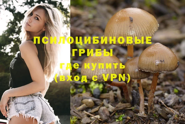 амф Абдулино