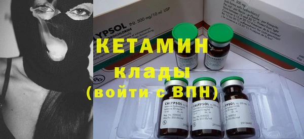 крисы Абаза