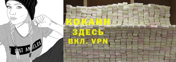 крисы Абаза