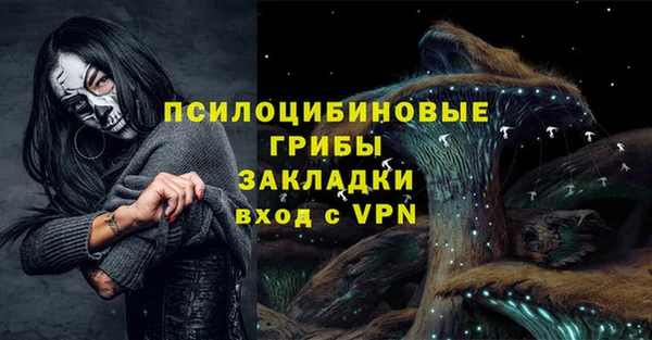 крисы Абаза
